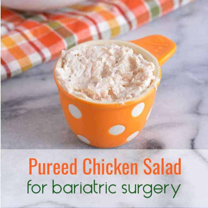 Pureed Chicken Salad for Bariatric Surgery Patients - Bariatric Bits