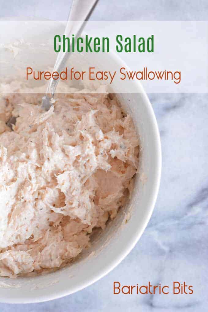 Gastric Sleeve Pureed Recipes Besto Blog